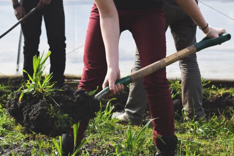 Tilth's Farm Team